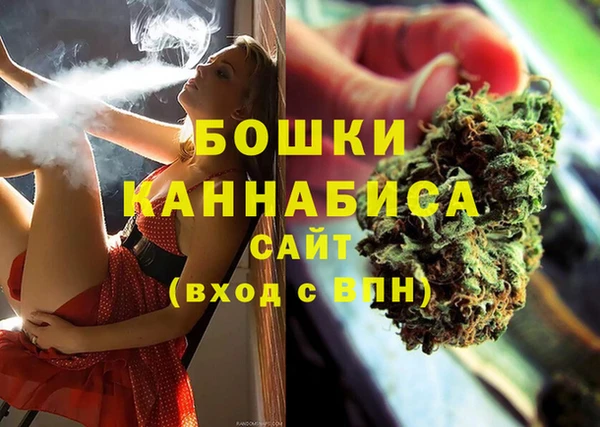 сатива Аркадак