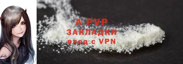 сатива Аркадак