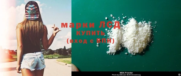 сатива Аркадак