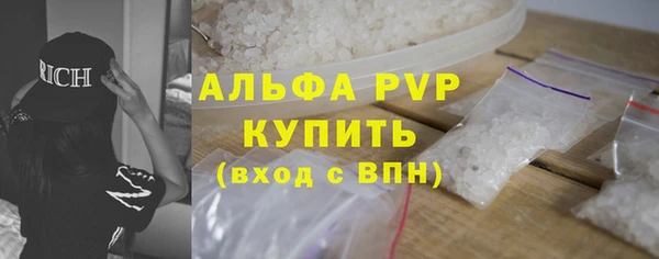 сатива Аркадак